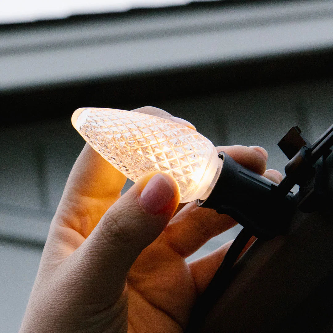 C9 Bulbs (Pallet of 25,000) Preorder - BSL Dev Site