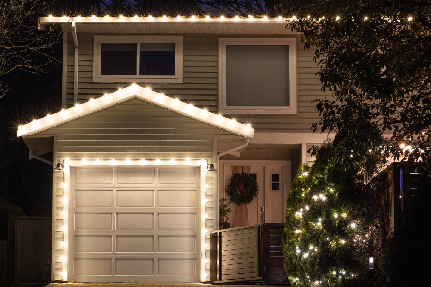 C9 Bulbs (Pack of 25) Preorder - BSL Dev Site